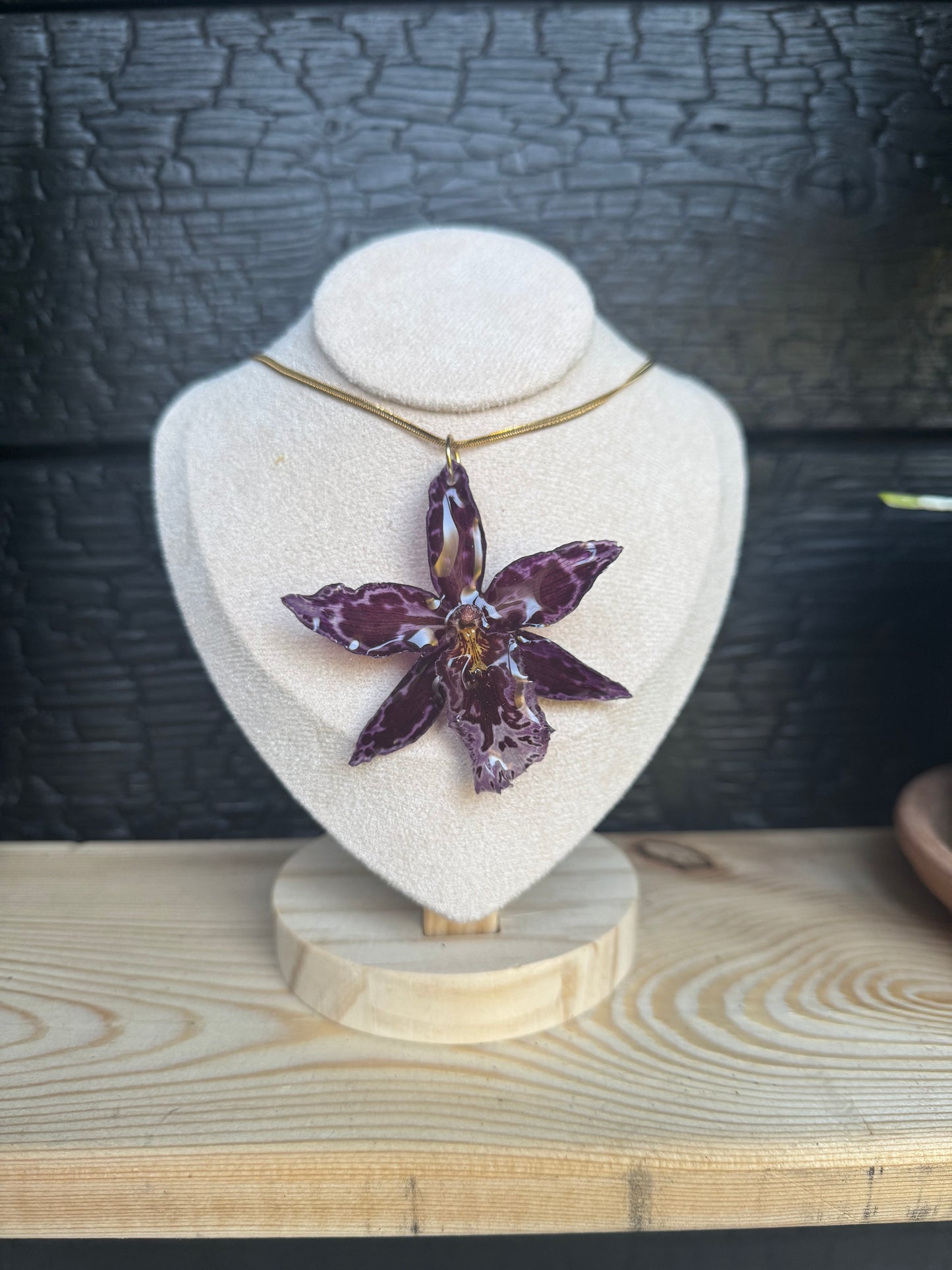 Wilsonara orchid necklace