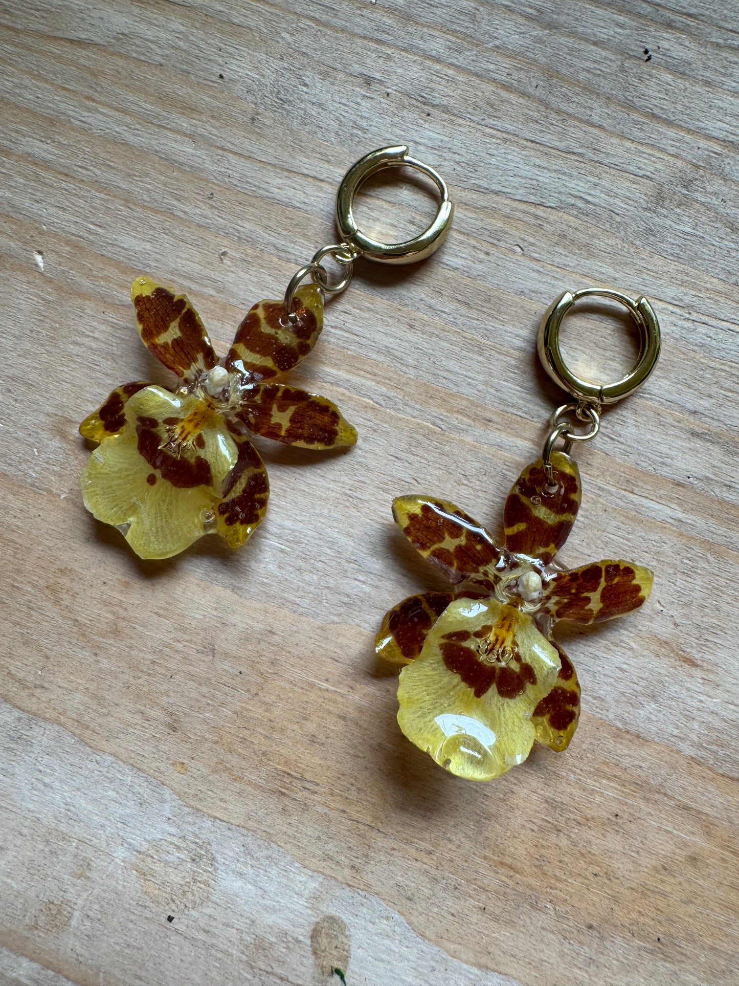 Dainty Yellow Orchid Huggies – Pressed Flower Earrings Gift for Her