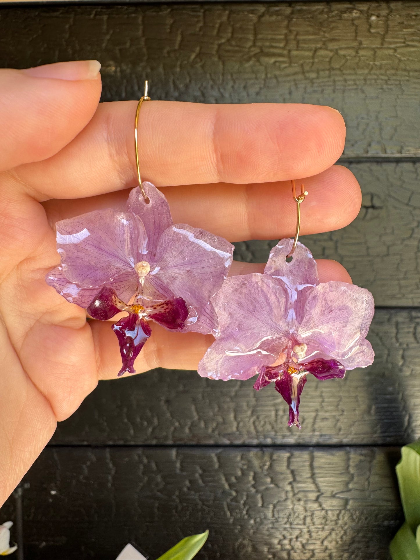 Orchid hoops purple