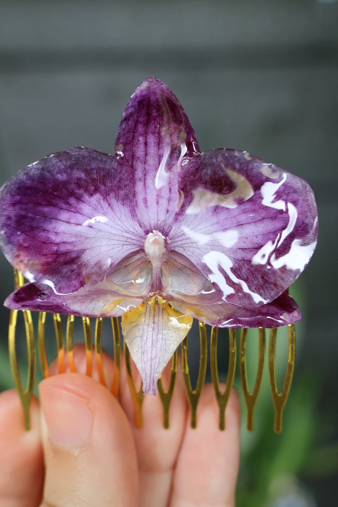 Orchid haircomb