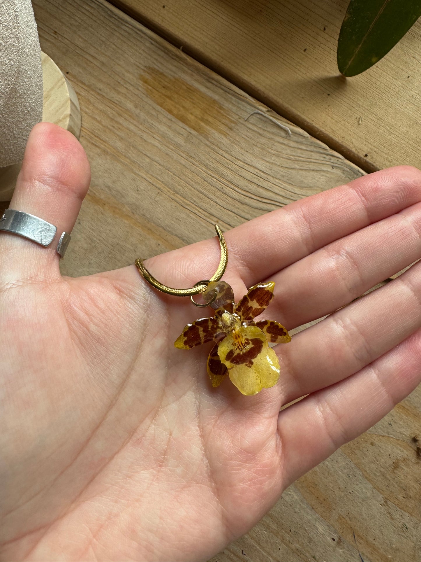 Hybrid yellow orchid necklace