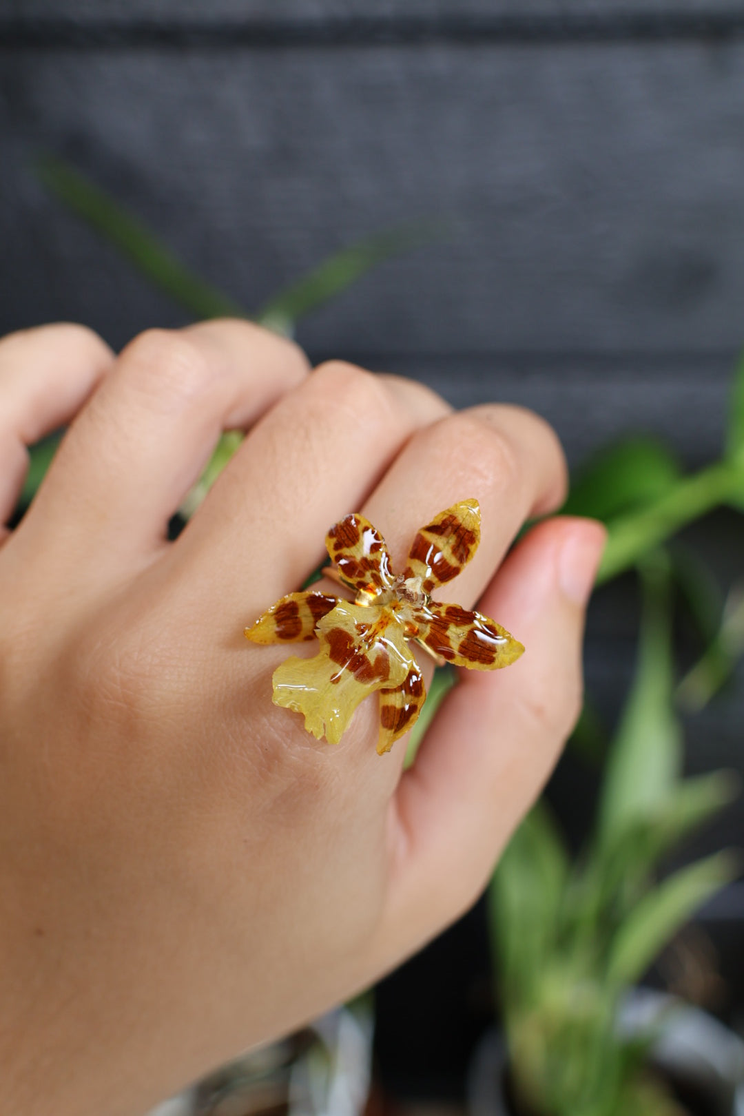Real orchid ring SYLLIA