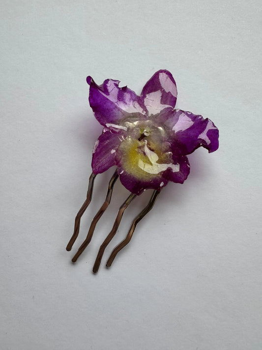 Real purple dendrobium orchid hair pin SYLLIA