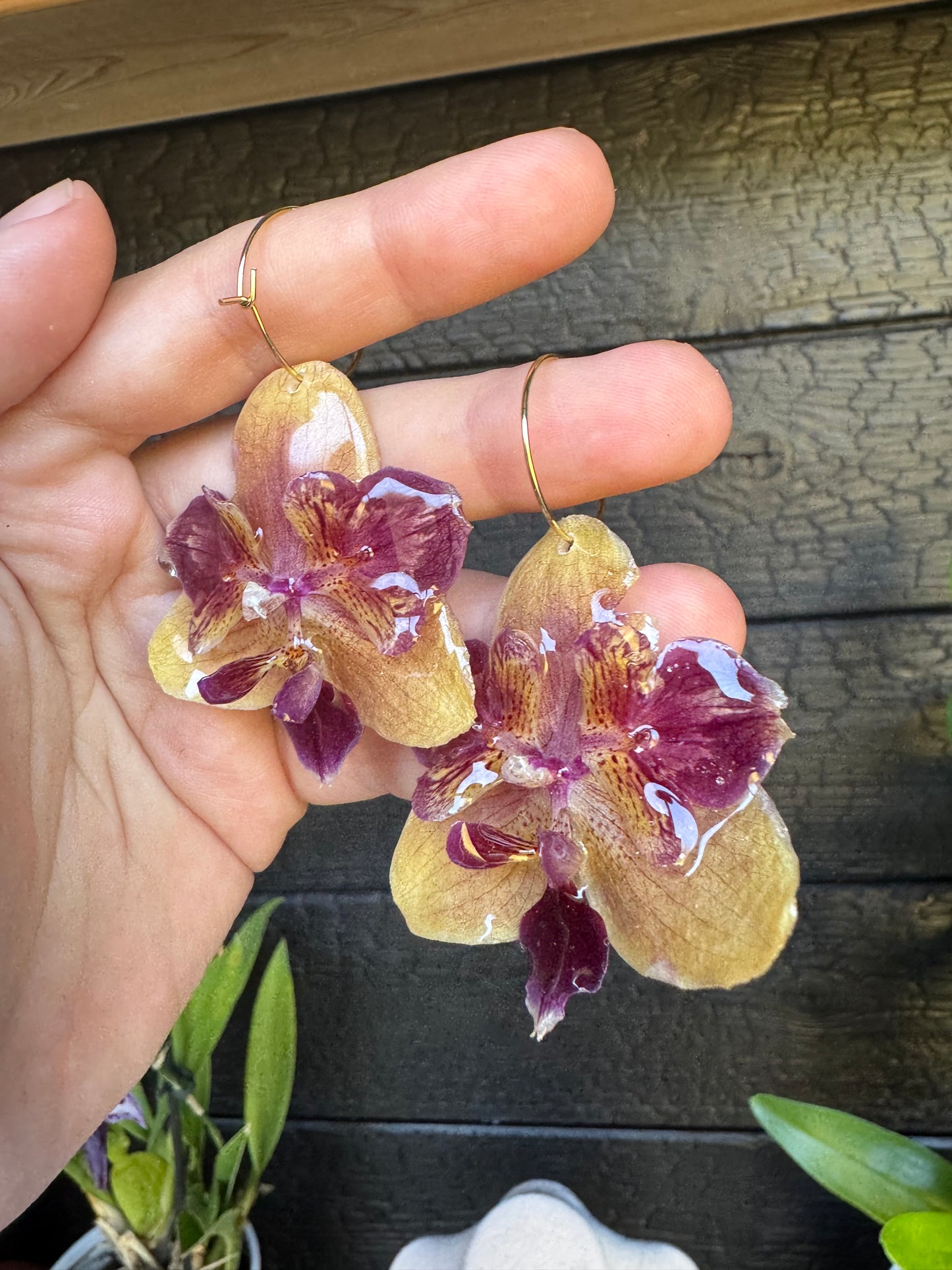 Rare Peloric orchid hoops