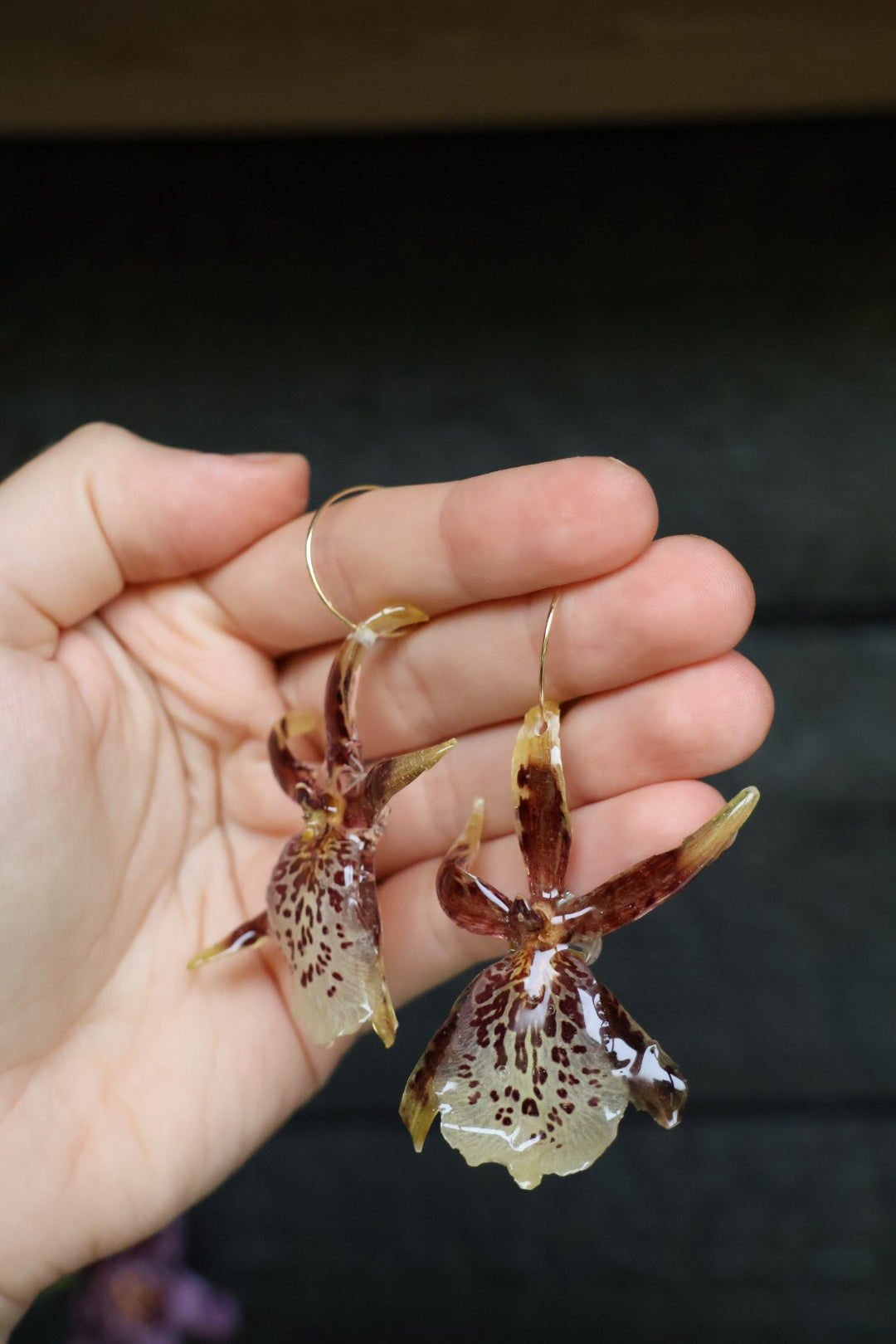 Brassia orchid hoops