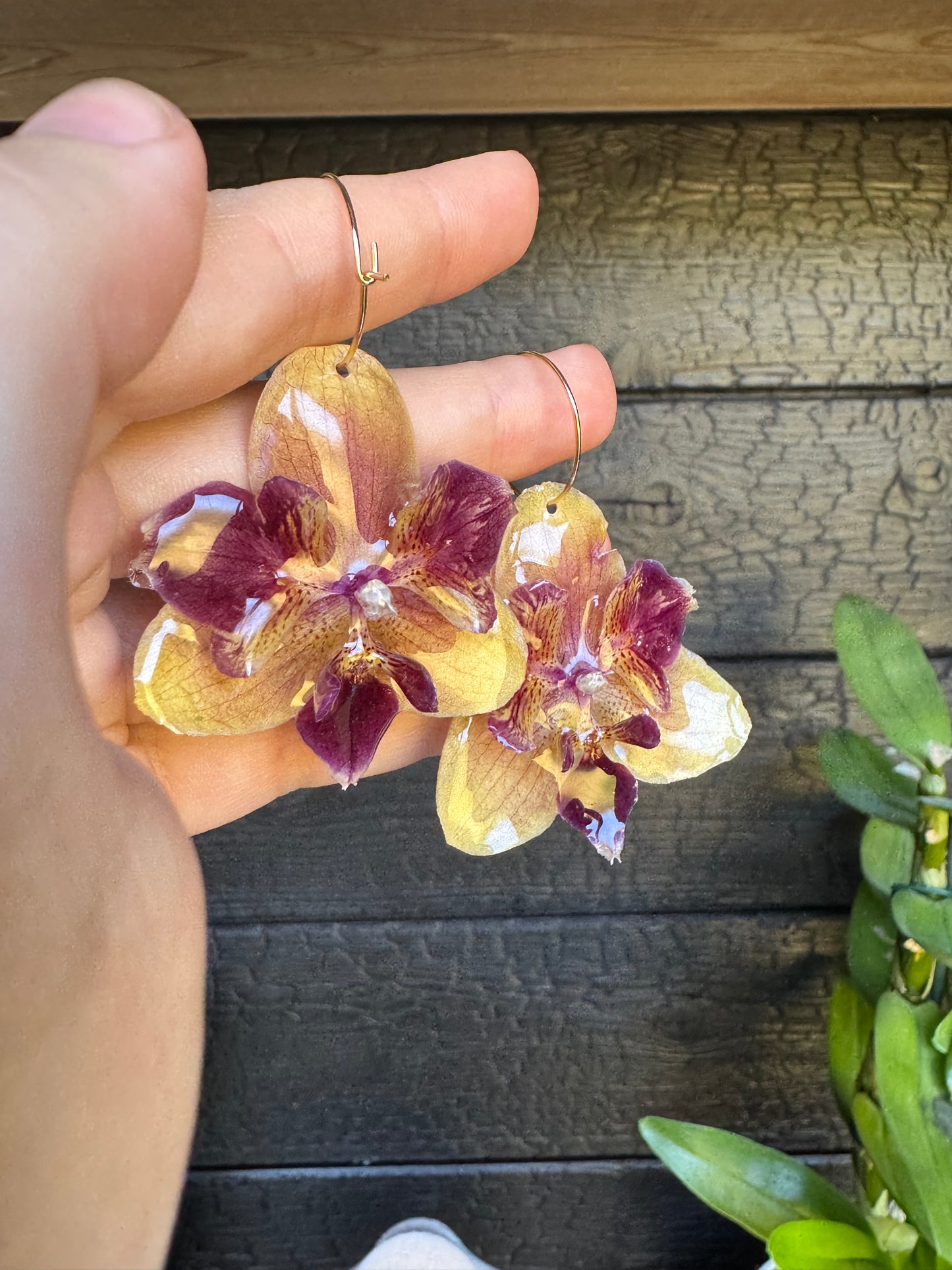 Rare Peloric orchid hoops