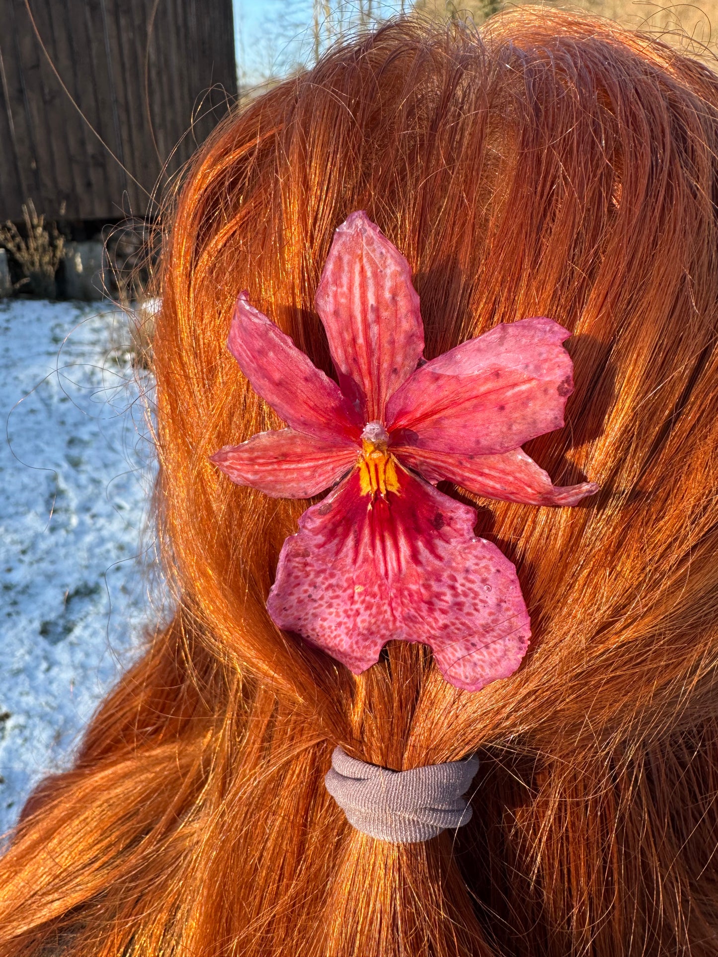 Miltonia orchid hairpin