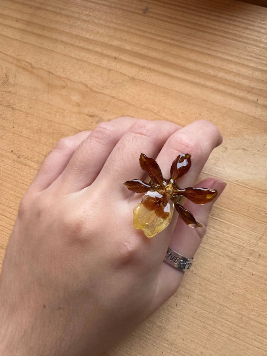 Real orchid ring Brown flower petal SYLLIA