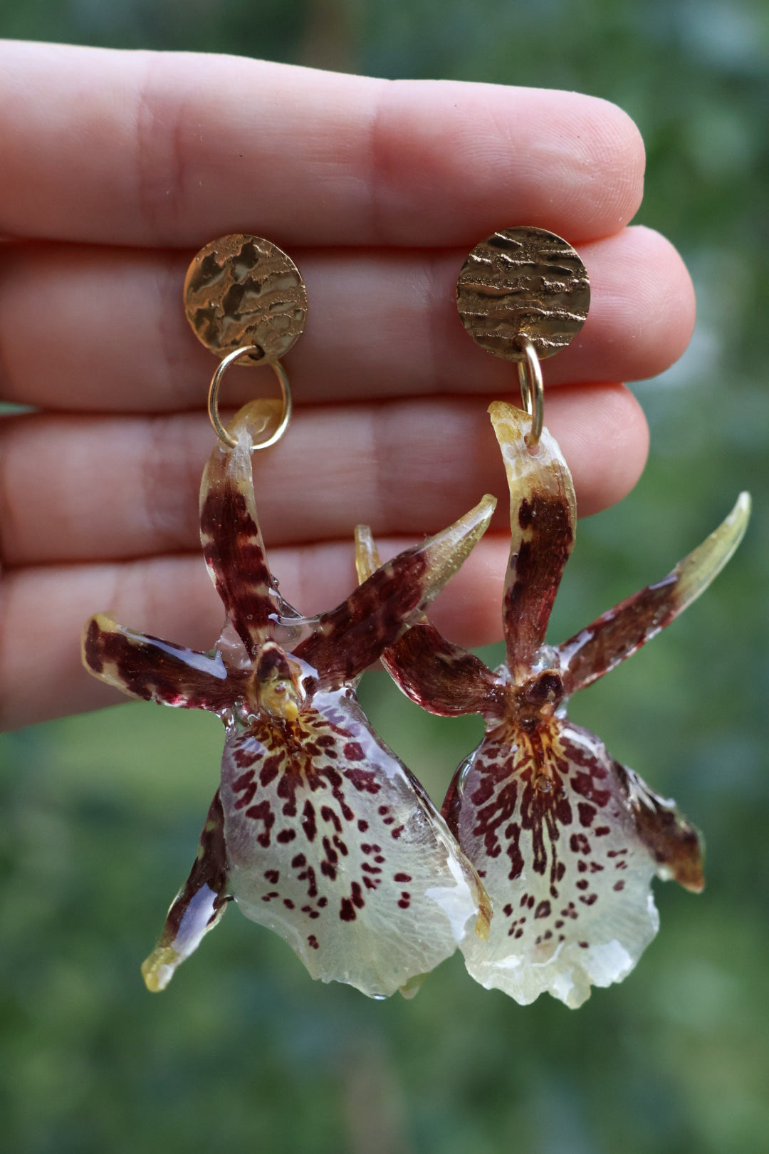 Brassia orchid stud earrings
