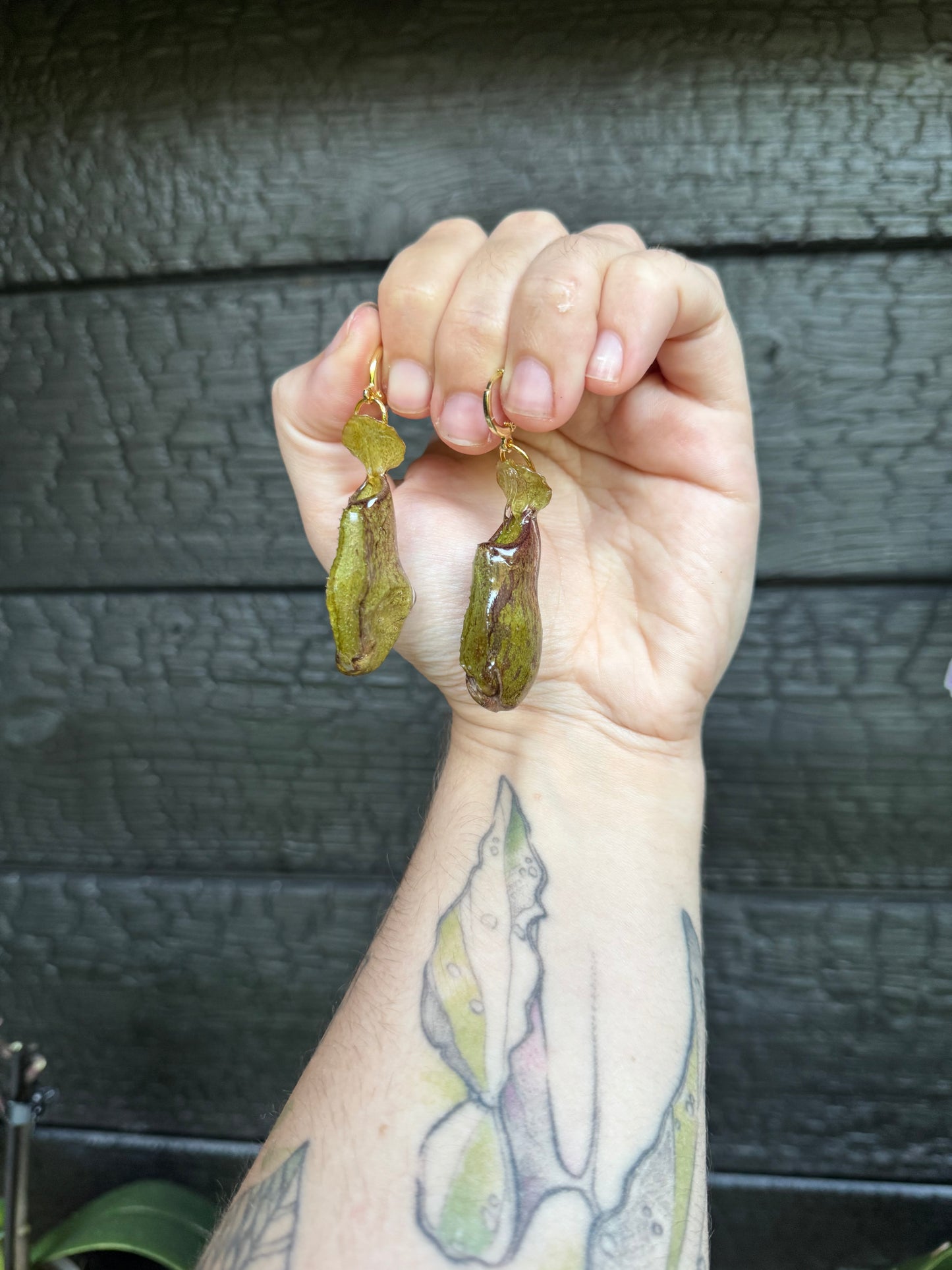 Pitcher plant nepenthes earrings SYLLIA