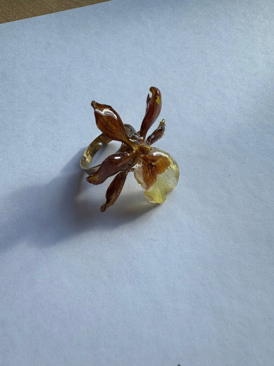Real orchid ring Brown flower petal SYLLIA