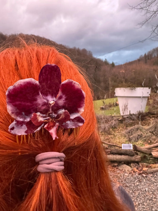 Real orchid hair comb SYLLIA