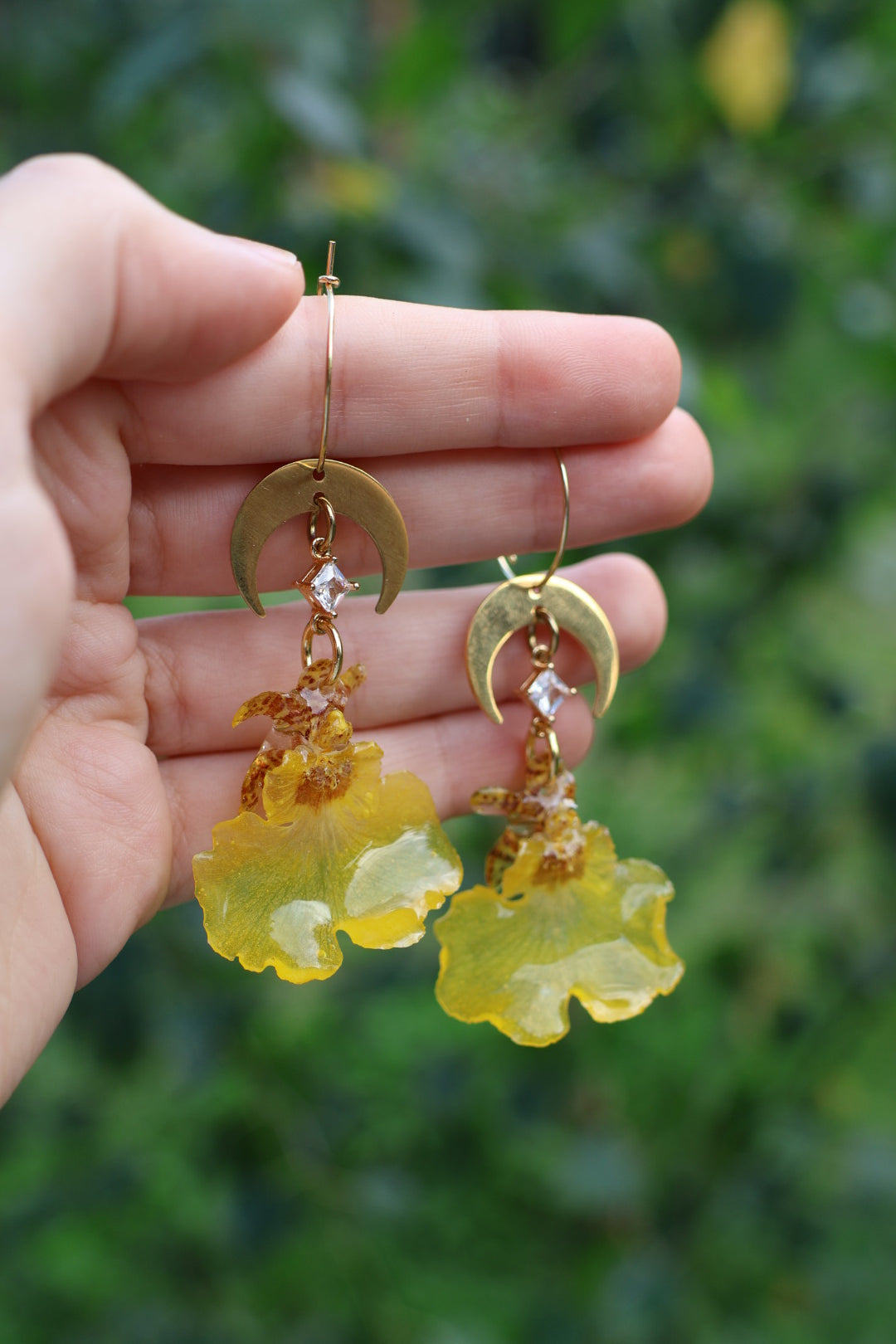 Yellow moon orchid earrings