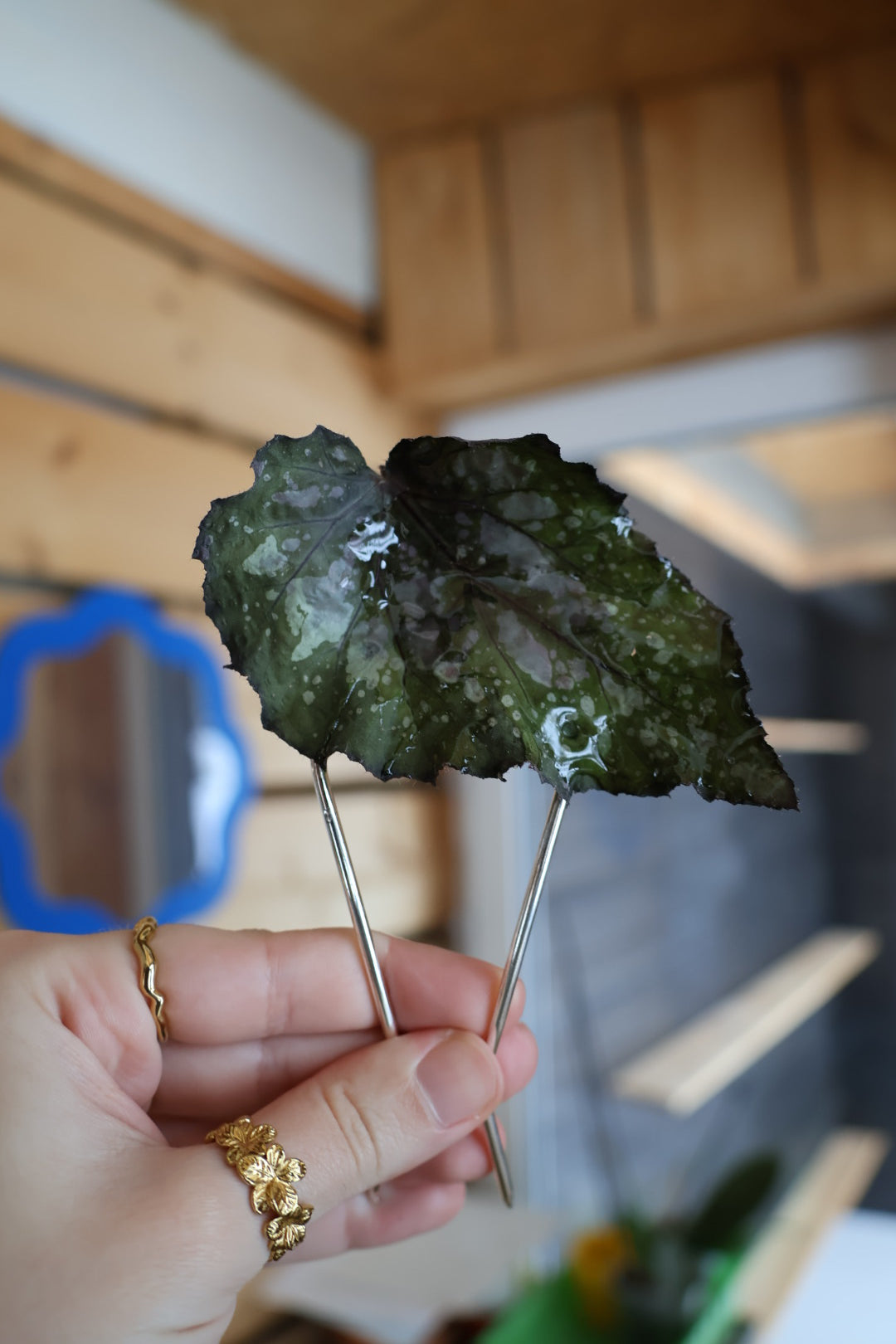 Green begonia leaf hairpin SYLLIA