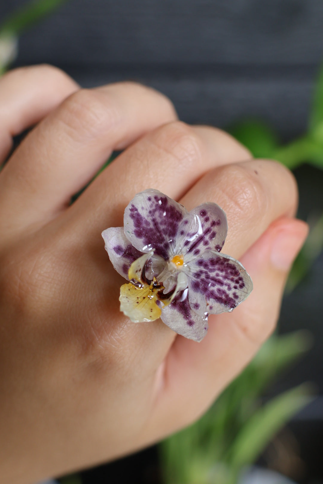 Real orchid ring SYLLIA