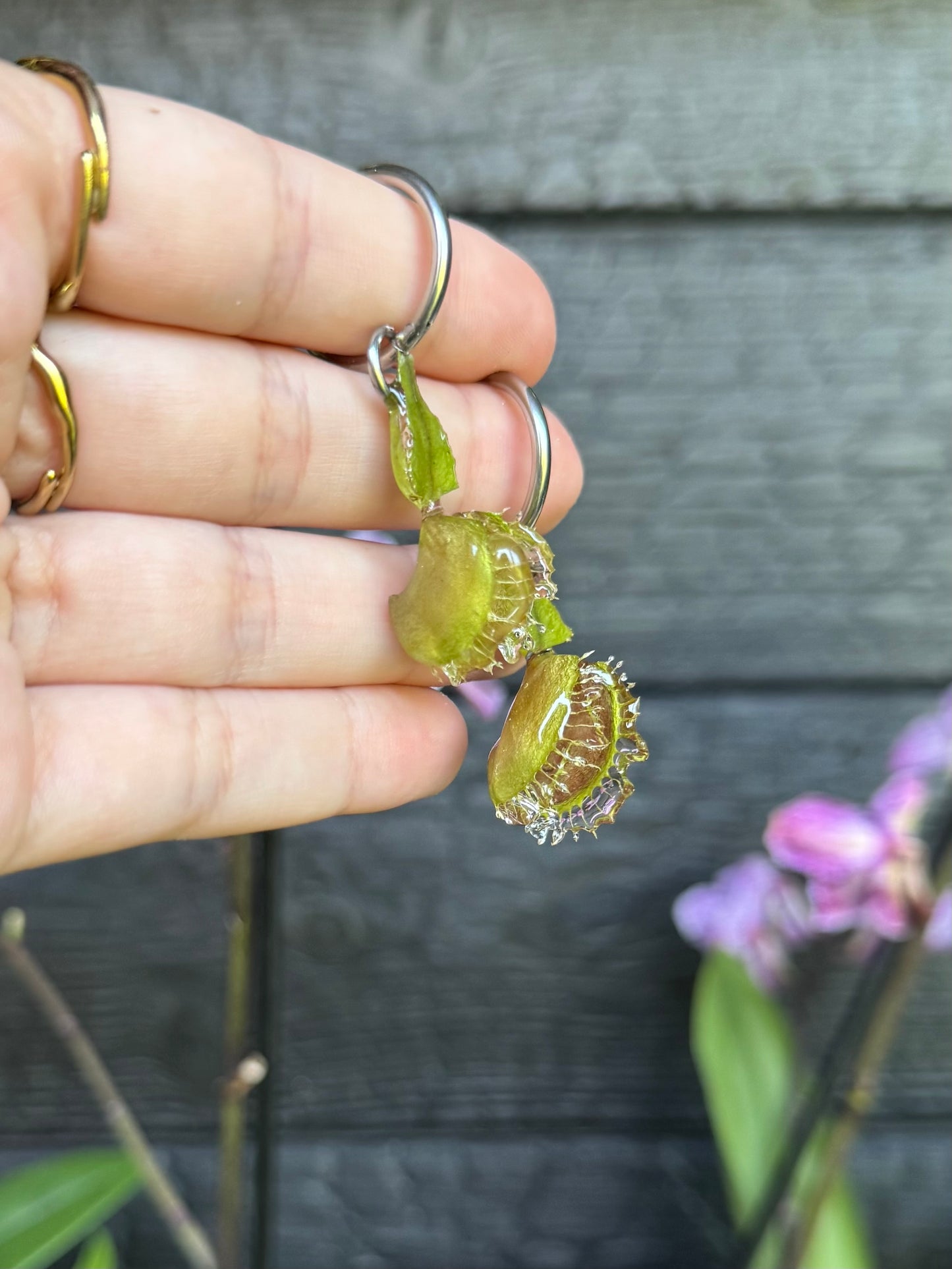 Venus fly trap earrings SYLLIA