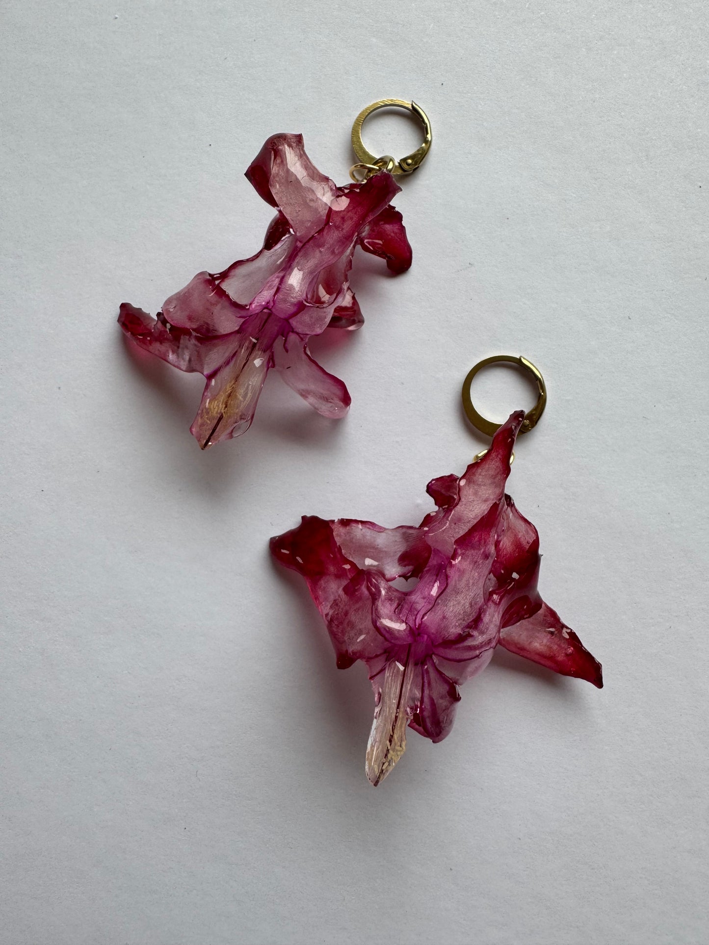 Handmade Resin Earrings with Real Cactus Flowers PRE ORDER