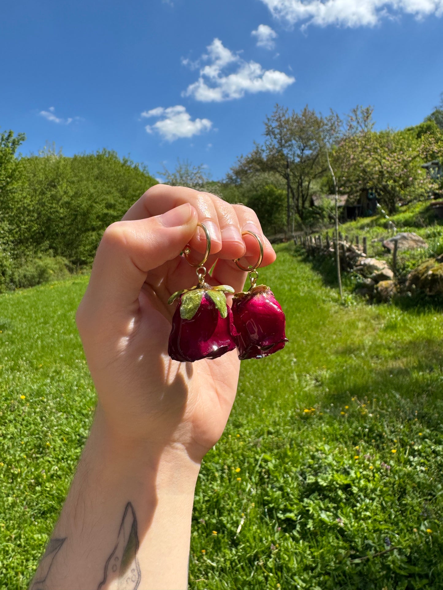 Red rose hoops