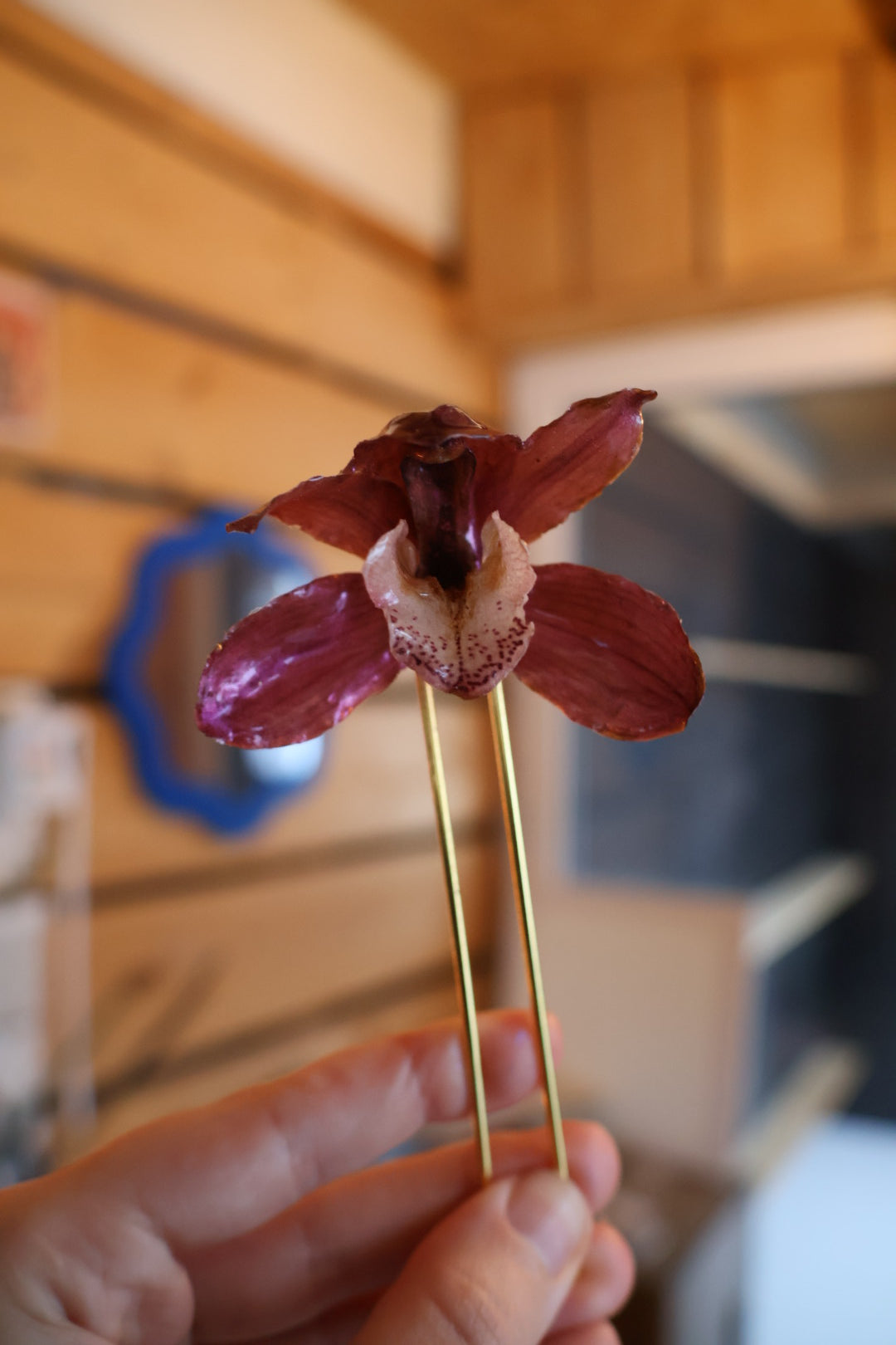 Cymbidium orchid hairpin SYLLIA