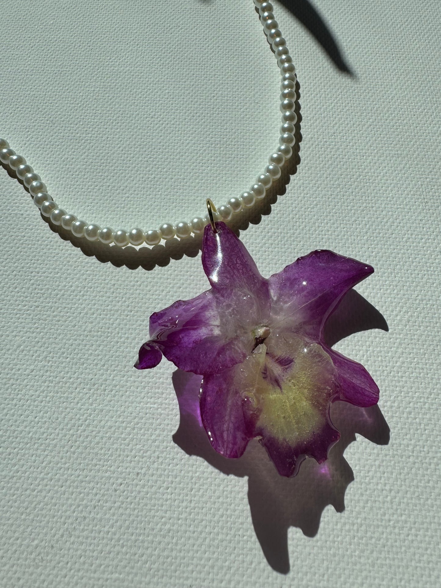 Dendrobium pearl necklace