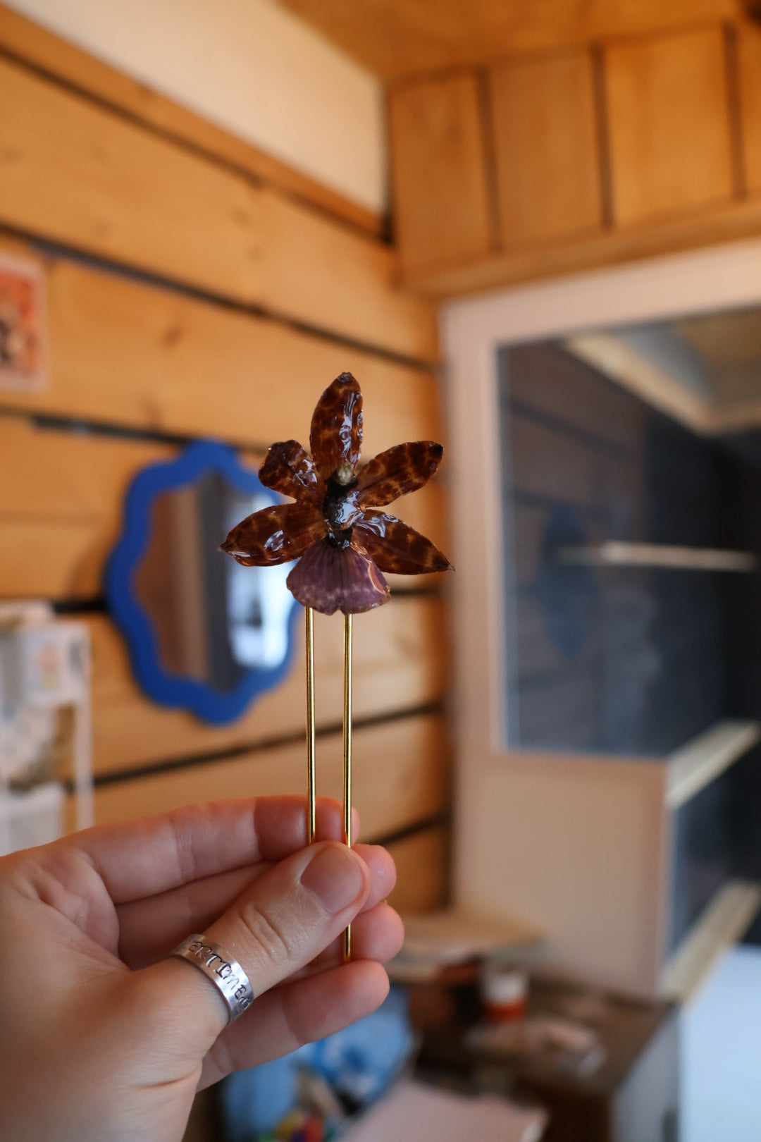 Hybrid orchid hairpin SYLLIA