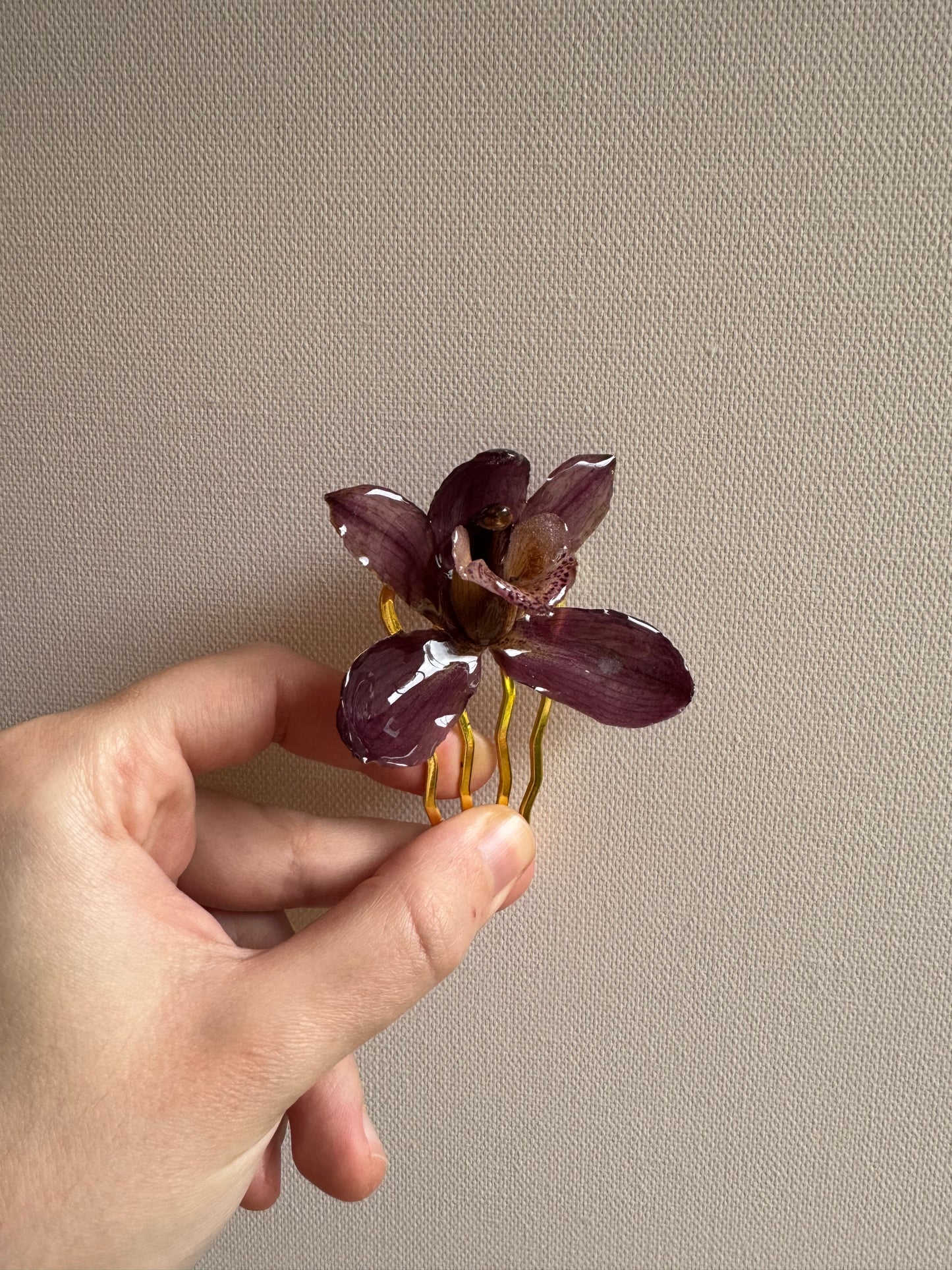 Cymbidium hairpin