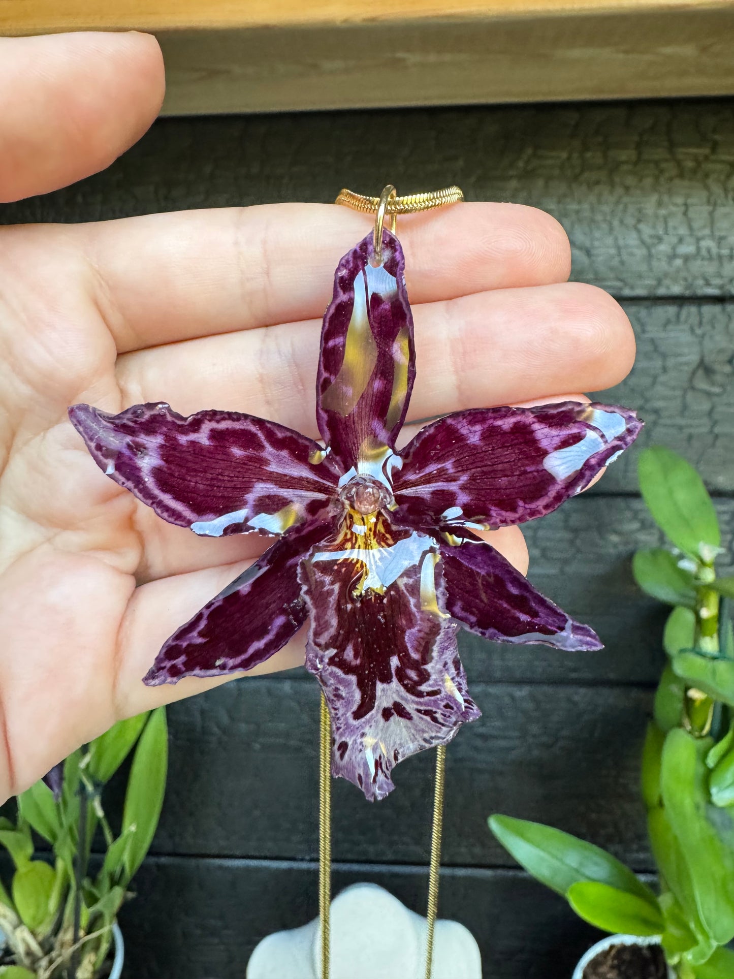 Wilsonara orchid necklace