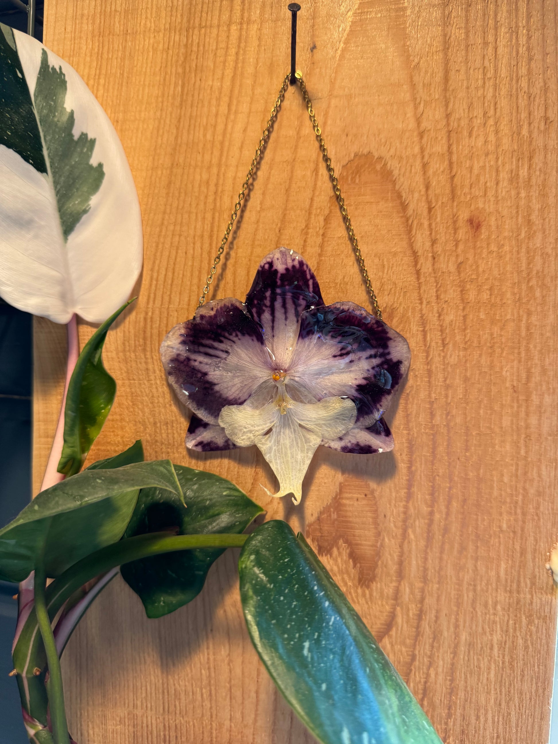 Purple orchid wall hanging SYLLIA