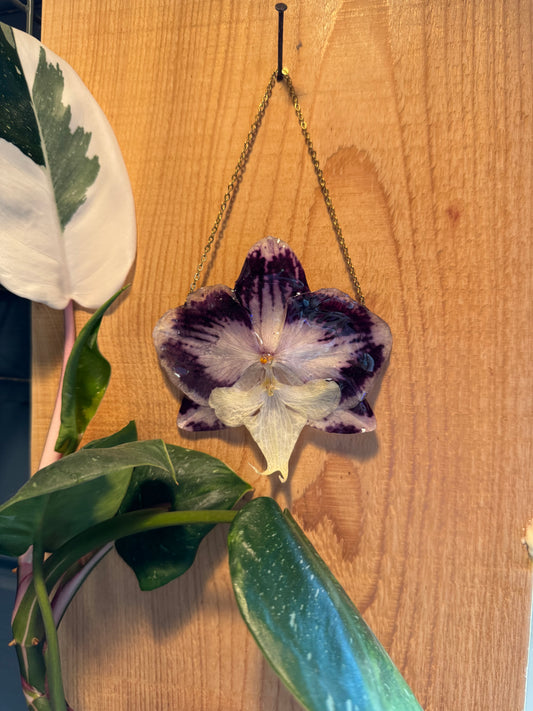 Purple orchid wall hanging SYLLIA