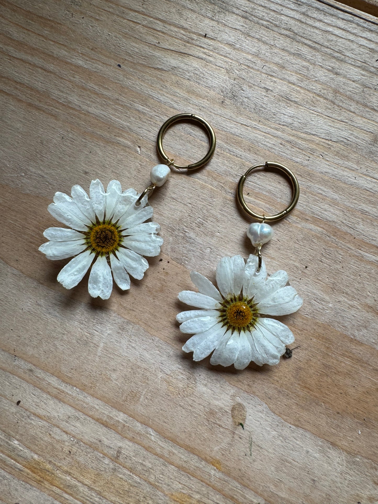 Real Daisy Flower Earrings – Handmade Resin Jewelry for Nature Lovers