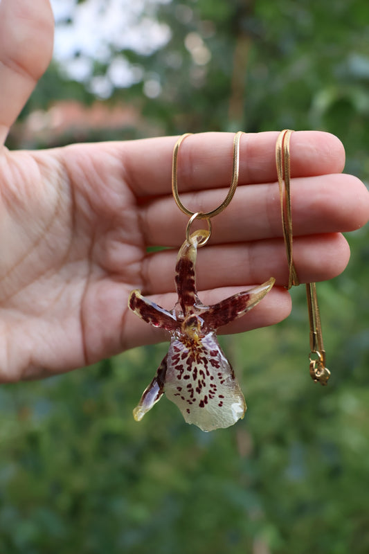 Brassia orchid necklace