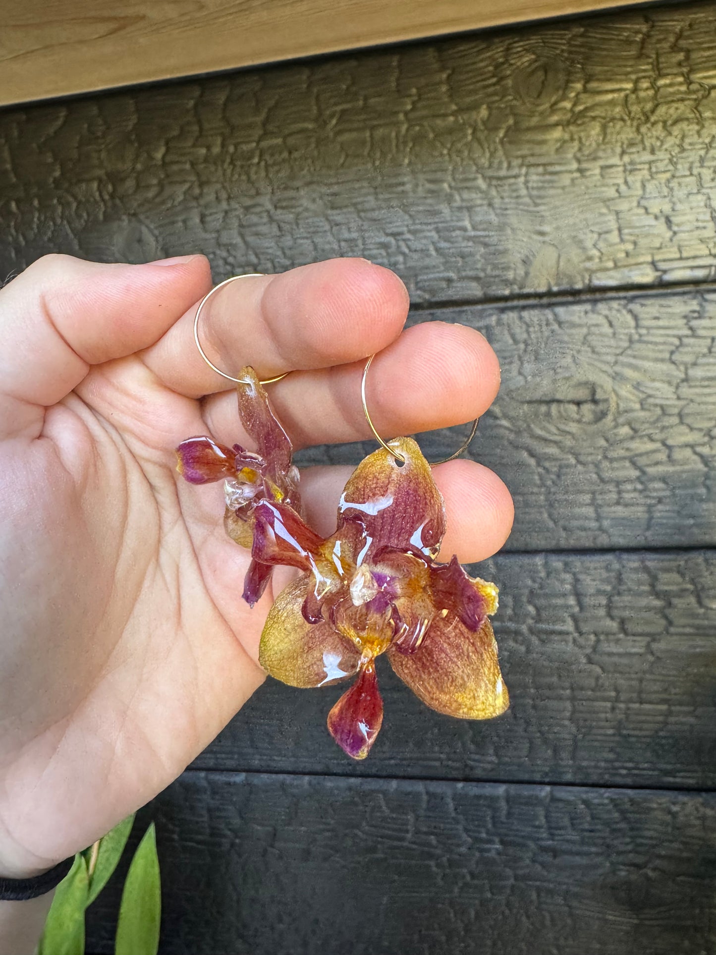 Peloric sunset orchid hoops
