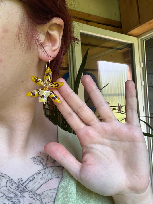 Simple yellow orchid hoops