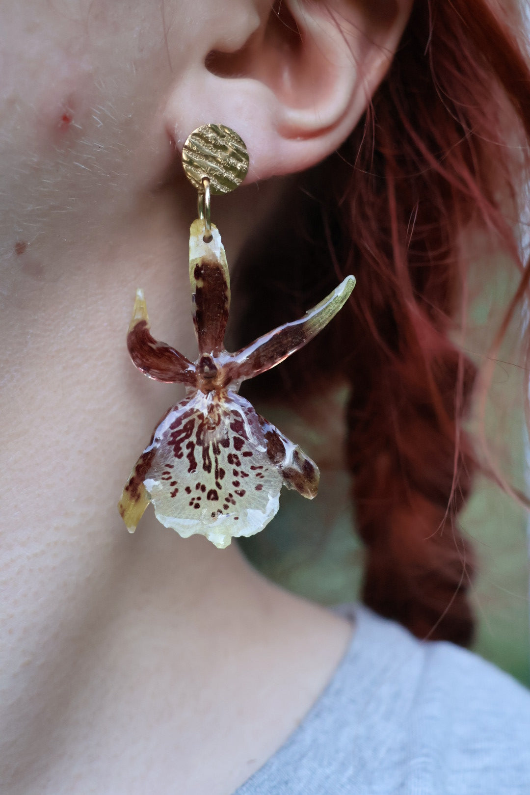 Brassia orchid stud earrings