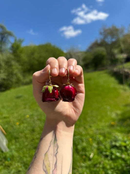 Red rose hoops