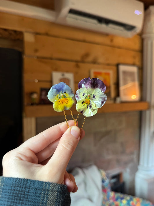 Real pansy hairpin