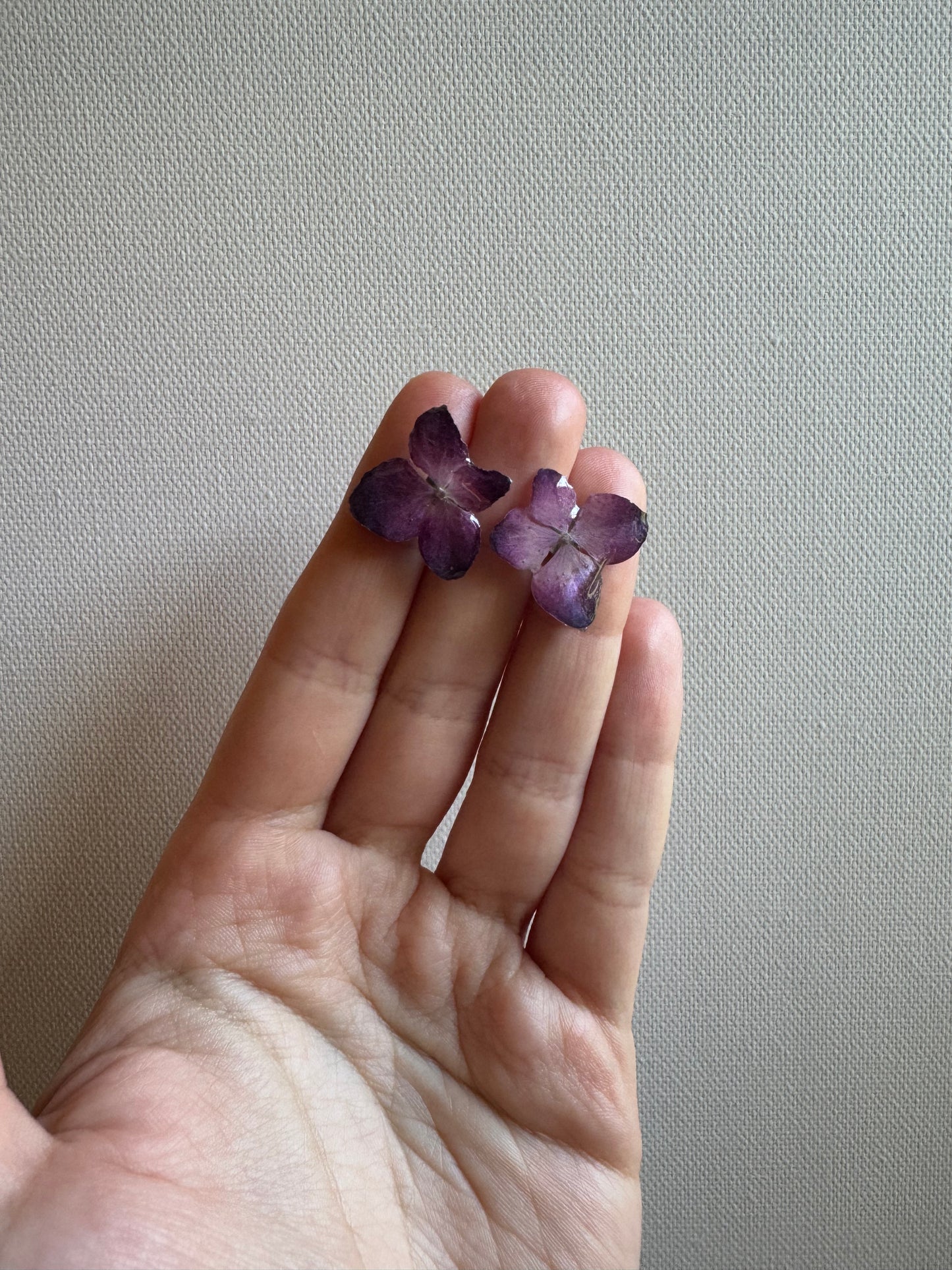 Pink hydrangea studs