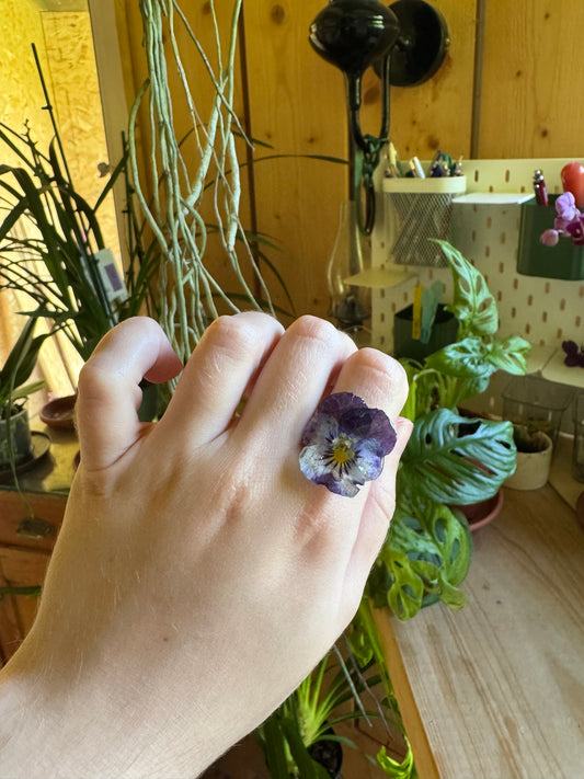 Blue pansy ring