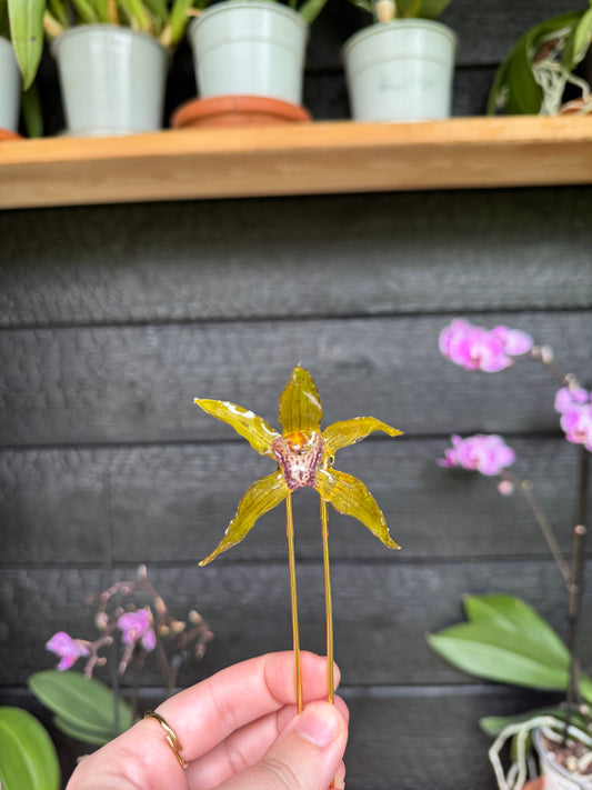 Green orchid hairpin SYLLIA