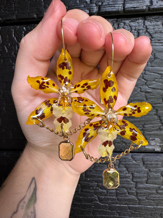 Yellow Orchid Earrings – Real Flower Resin Jewelry for Nature Lovers