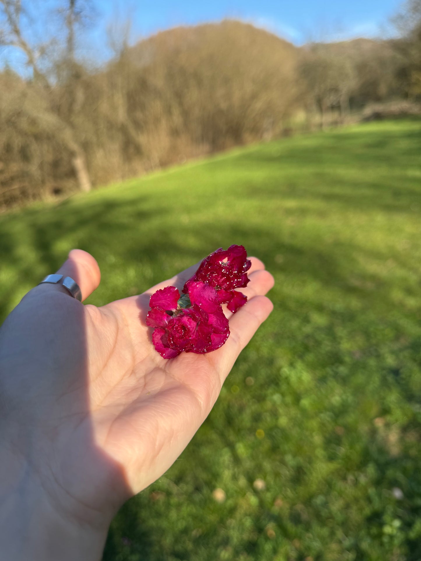 Carnations with quartz