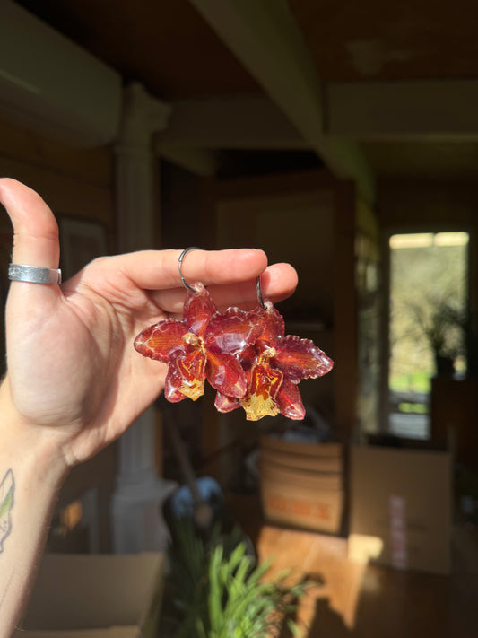 Red orchid hoops