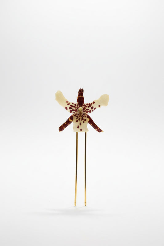 Black and yellow orchid hairpin SYLLIA