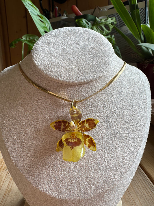 Hybrid yellow orchid necklace
