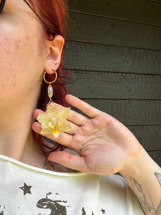Yellow orchid earrings