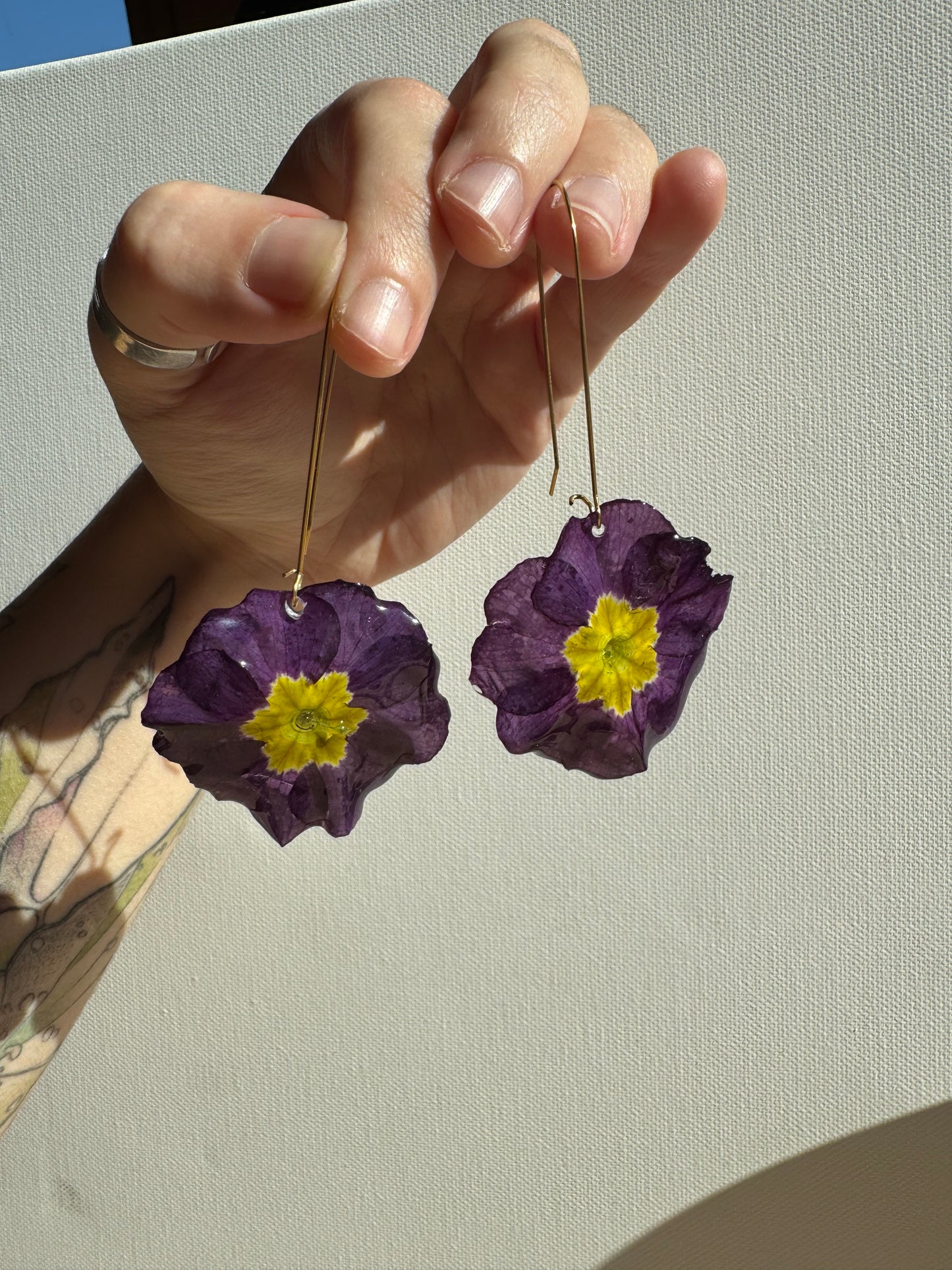 Real primula flower earrings