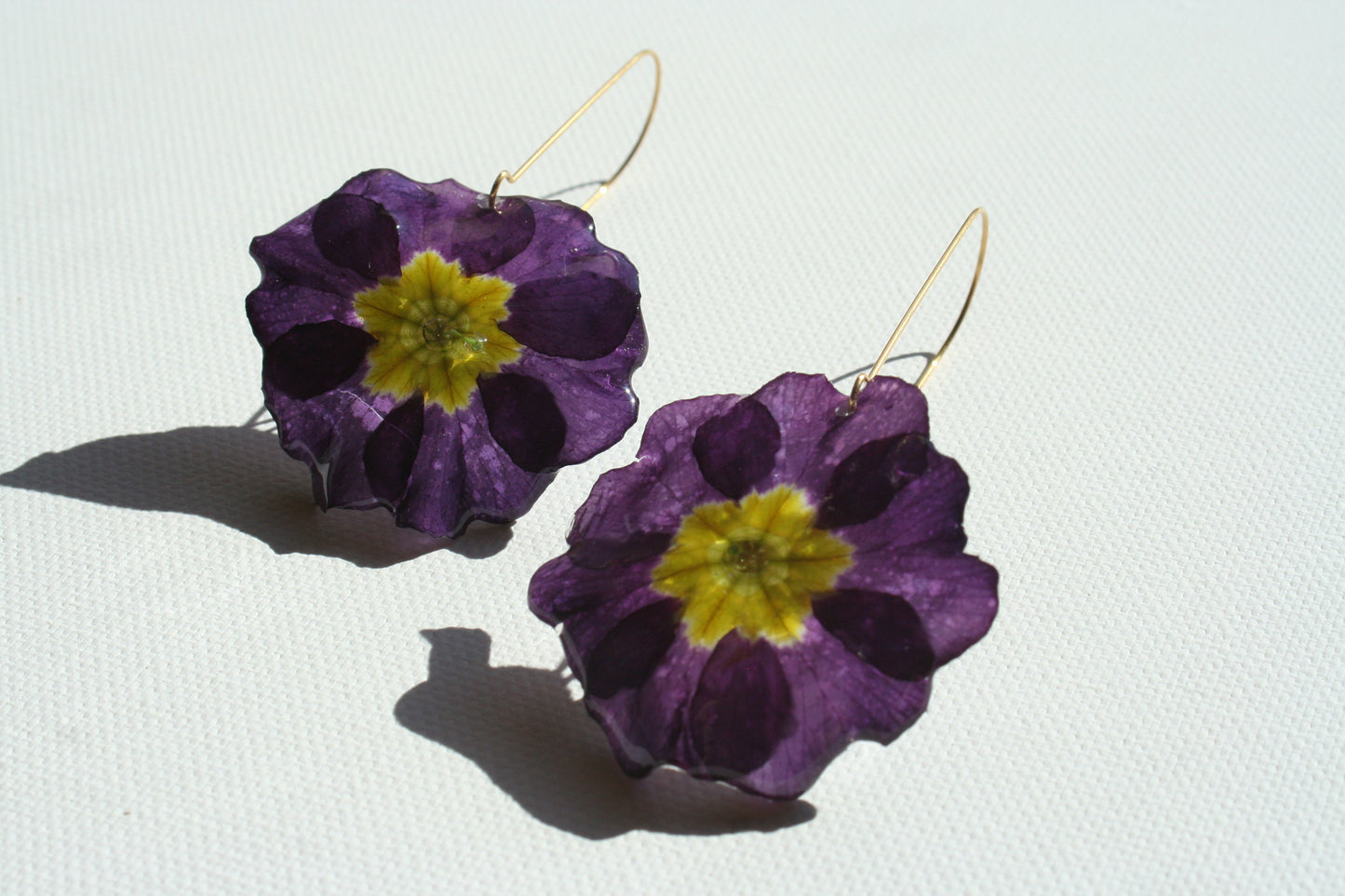 Real primula flower earrings