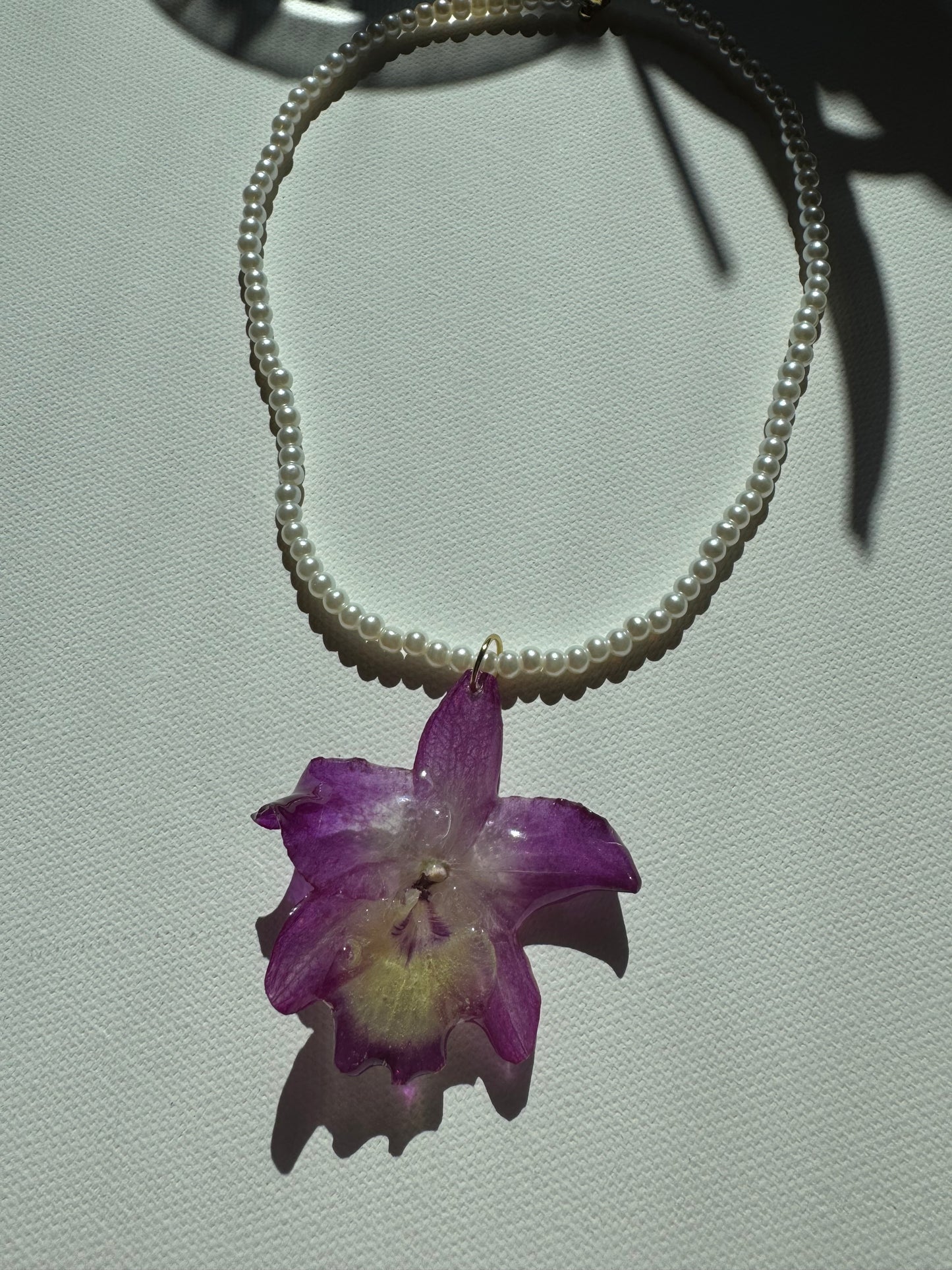 Dendrobium pearl necklace