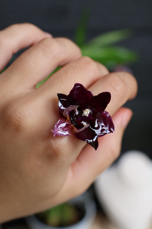 Real orchid ring SYLLIA