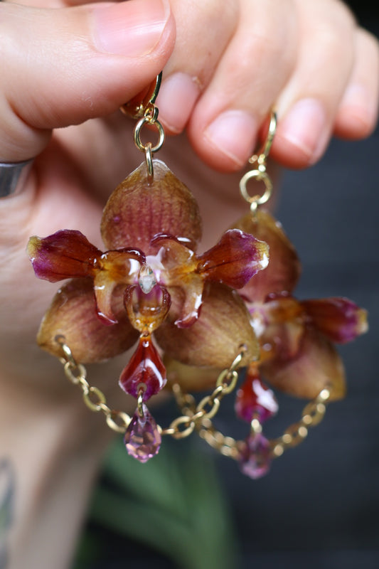 Pierced orchid earrings